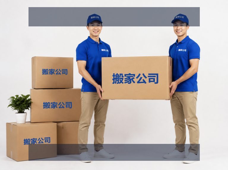 关于公司